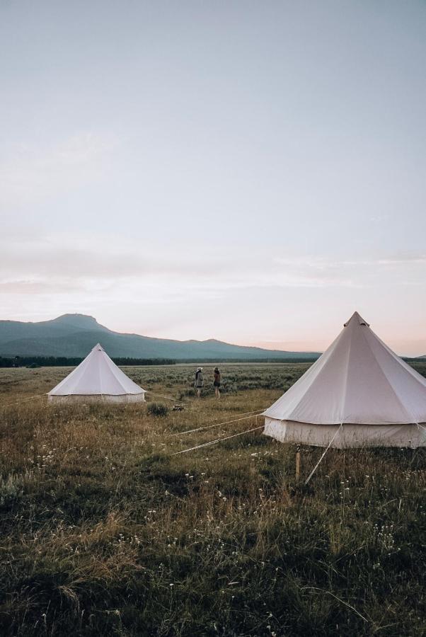 Wander Camp Yellowstone 아일랜드 파크 외부 사진